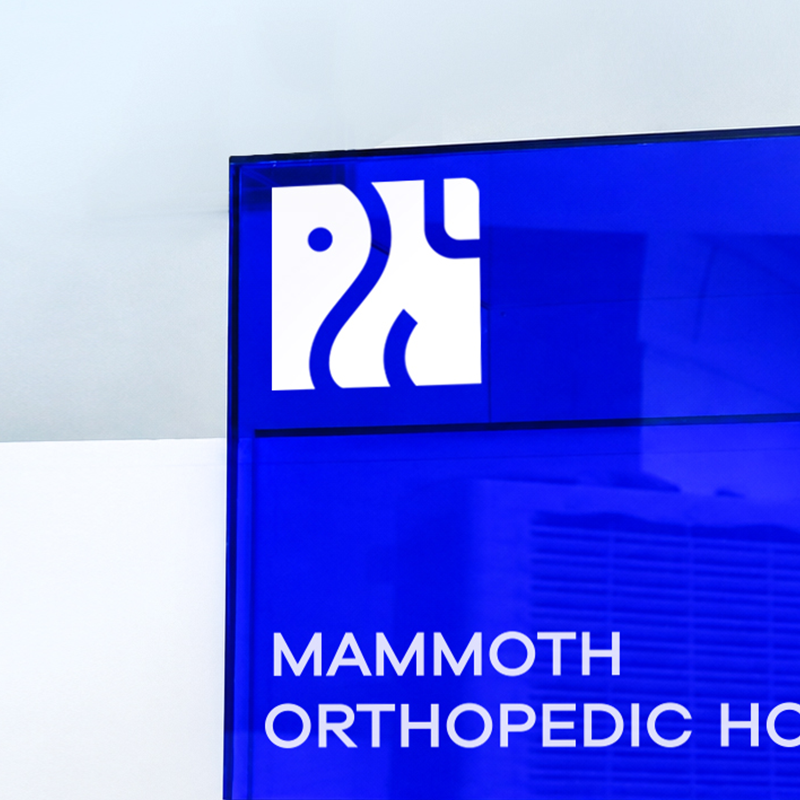 MOMMOTH Orthopedic Hospital